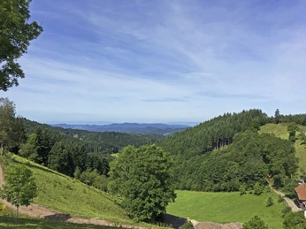 Aussicht am Harkhof in Richtung Vogesen