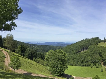 Aussicht am Harkhof in Richtung Vogesen