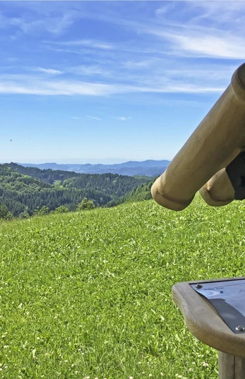 Aussicht am Harkhof in Richtung Vogesen