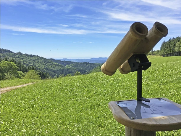 Aussicht am Harkhof in Richtung Vogesen