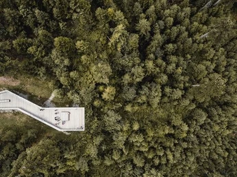 Der Ellbachseeblick von oben