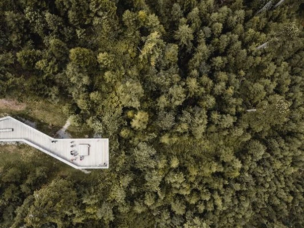 Der Ellbachseeblick von oben