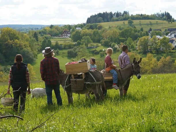 Esel-Wanderung Esel-Wanderung