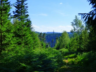 Ausblick am Wegweiser "Bei der Hahnenhütte"