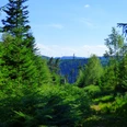Ausblick am Wegweiser "Bei der Hahnenhütte"