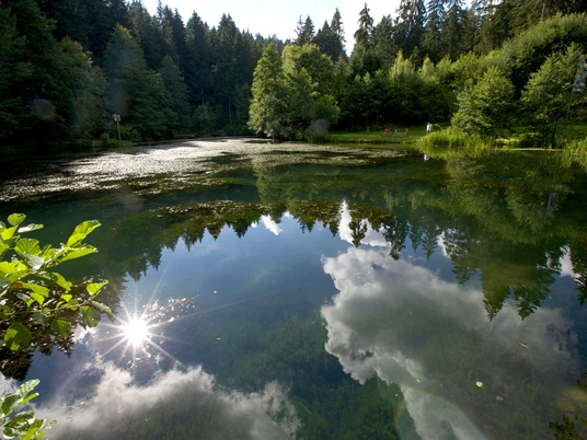 Der Kinzigsee im Zauberland