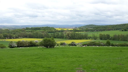 Blick vom Bühl nach Osten
