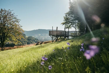 Allmandblick