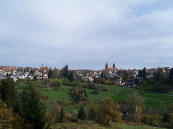 Blick oberhalb vom Bärenschlössle Richtung Freudenstadt