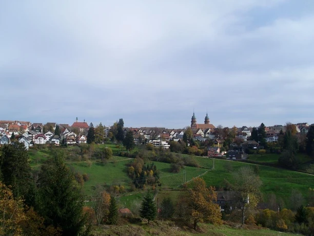 Blick oberhalb vom Bärenschlössle Richtung Freudenstadt