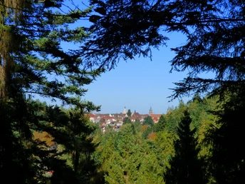 Ausblick von der Schöneck-Hütte auf Freudenstadt