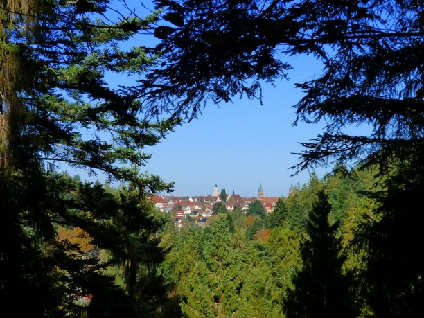 Ausblick von der Schöneck-Hütte auf Freudenstadt