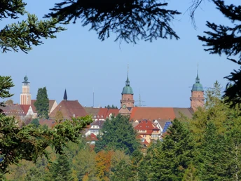 Ausblick von der Schöneck-Hütte auf Rathaus und Stadtkirche Freudenstadt