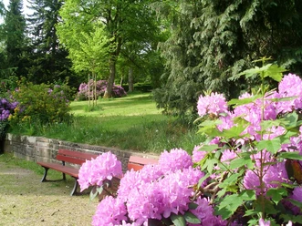 Der Park Courbevoie in Freudenstadt