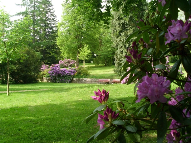 Park Courbevoie