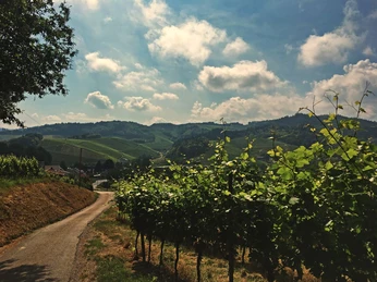 Weg zur Kapelle St. Wendelin