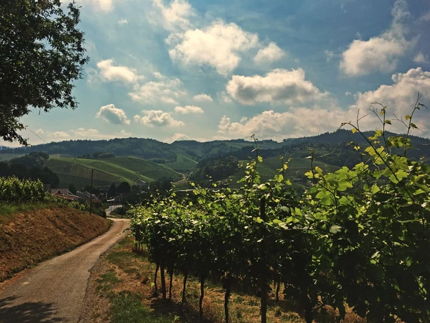 Weg zur Kapelle St. Wendelin