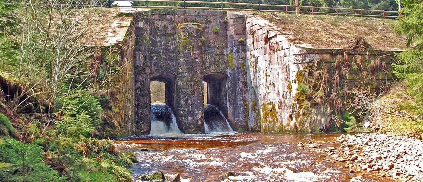 Herrenwieser Schwallung