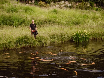 Fischgewässer im Forellenhof Buhlbach