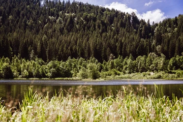 Sankenbachsee in Baiersbronn