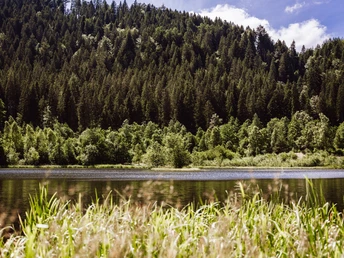 Sankenbachsee in Baiersbronn