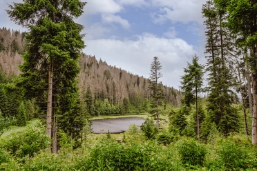 Huzenbacher See