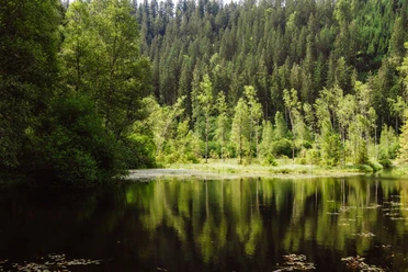 Ellbachsee in Mitteltal