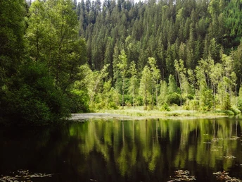 Ellbachsee in Mitteltal