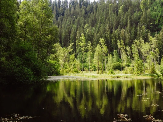 Ellbachsee in Mitteltal