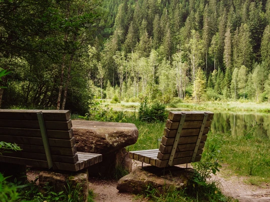 Sitzgelegenheit am Ellbachsee in Mitteltal