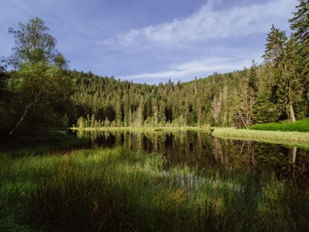 Buhlbachsee in Obertal