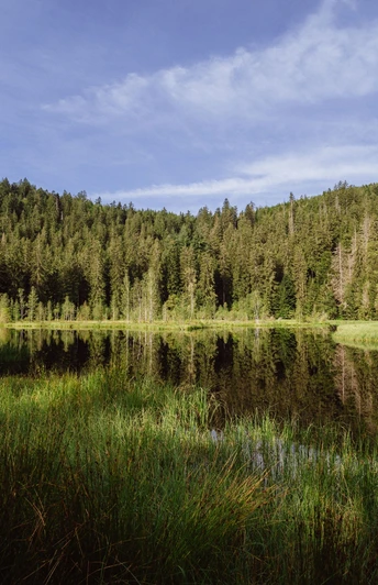 Buhlbachsee in Obertal