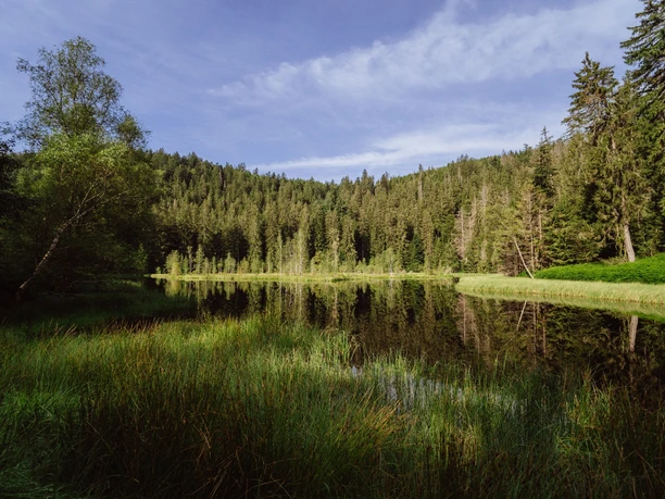 Buhlbachsee in Obertal