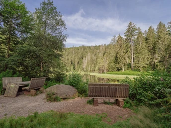 Sitzgelegenheiten am Buhlbachsee