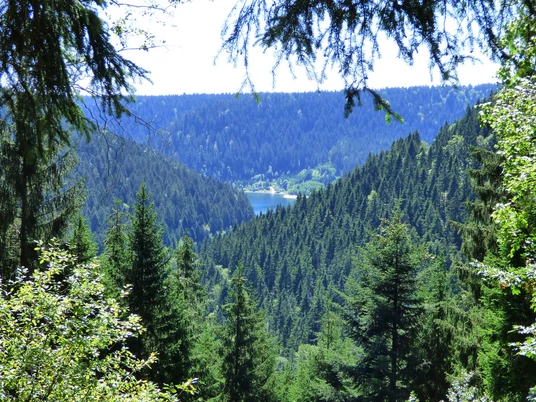 Blick auf den Stausee Kleine Kinzig unterhalb vom Heuplatz