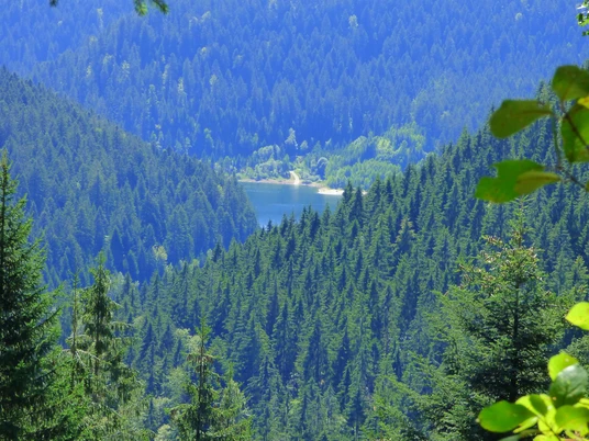 Blick auf den Stausee Kleine Kinzig unterhalb vom Heuplatz