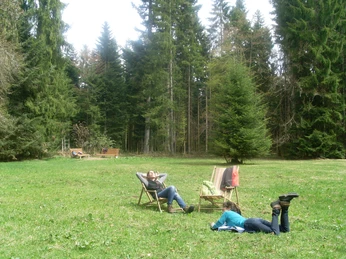Entspannende Pause auf der Waldliegewiese
