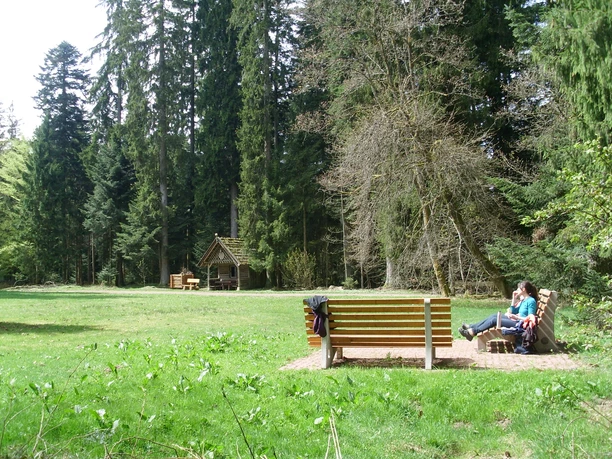 Die Wohlfühlbänke auf der idyllischen Waldliegewiese Die Wohlfühlbänke auf der idyllischen Waldliegewiese