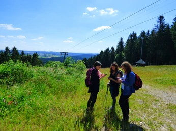 Lauschtour-Station Zollernblick