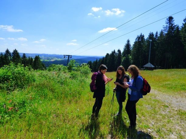 Lauschtour-Station Zollernblick
