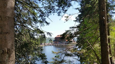 Sagenumwobener Mummelsee - Blick zum Hotel und See durch Bäume