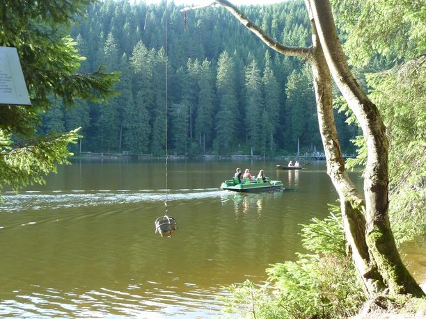 Kunstpfad und Tretbootfahrt am Mummelsee