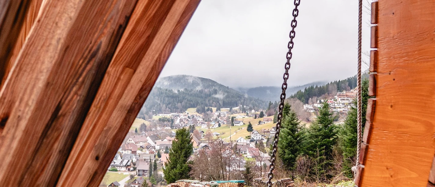 Panoramaschaukel Obertal mit herrlichem Ausblick