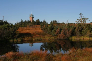 Hornisgrinde
