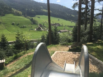 Guck a mol Wegle in Oberwolfach, Rutsche