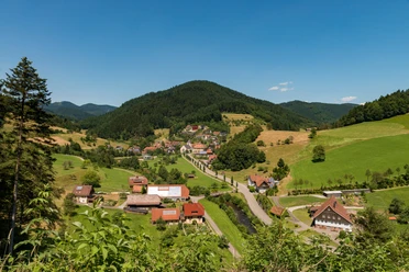 Guck a mol Wegle in Oberwolfach