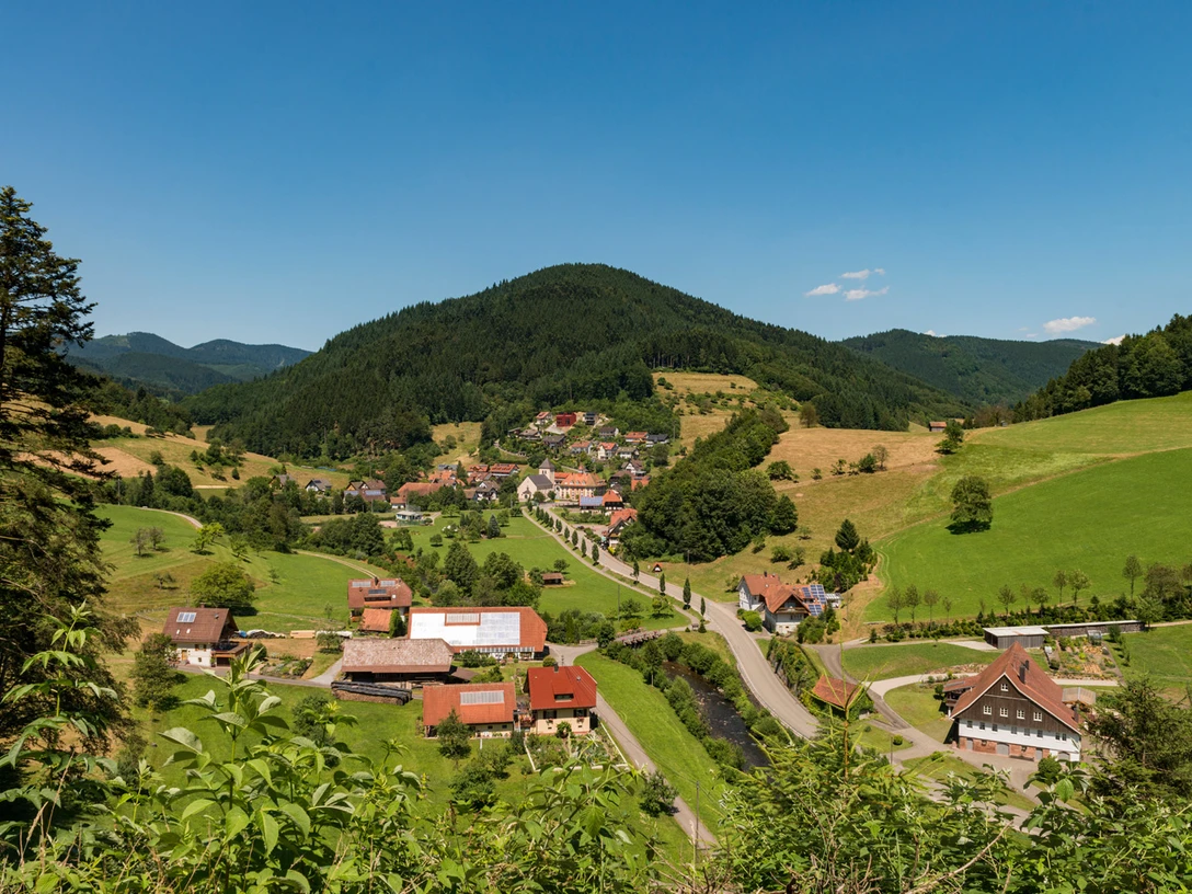 Guck a mol Wegle in Oberwolfach