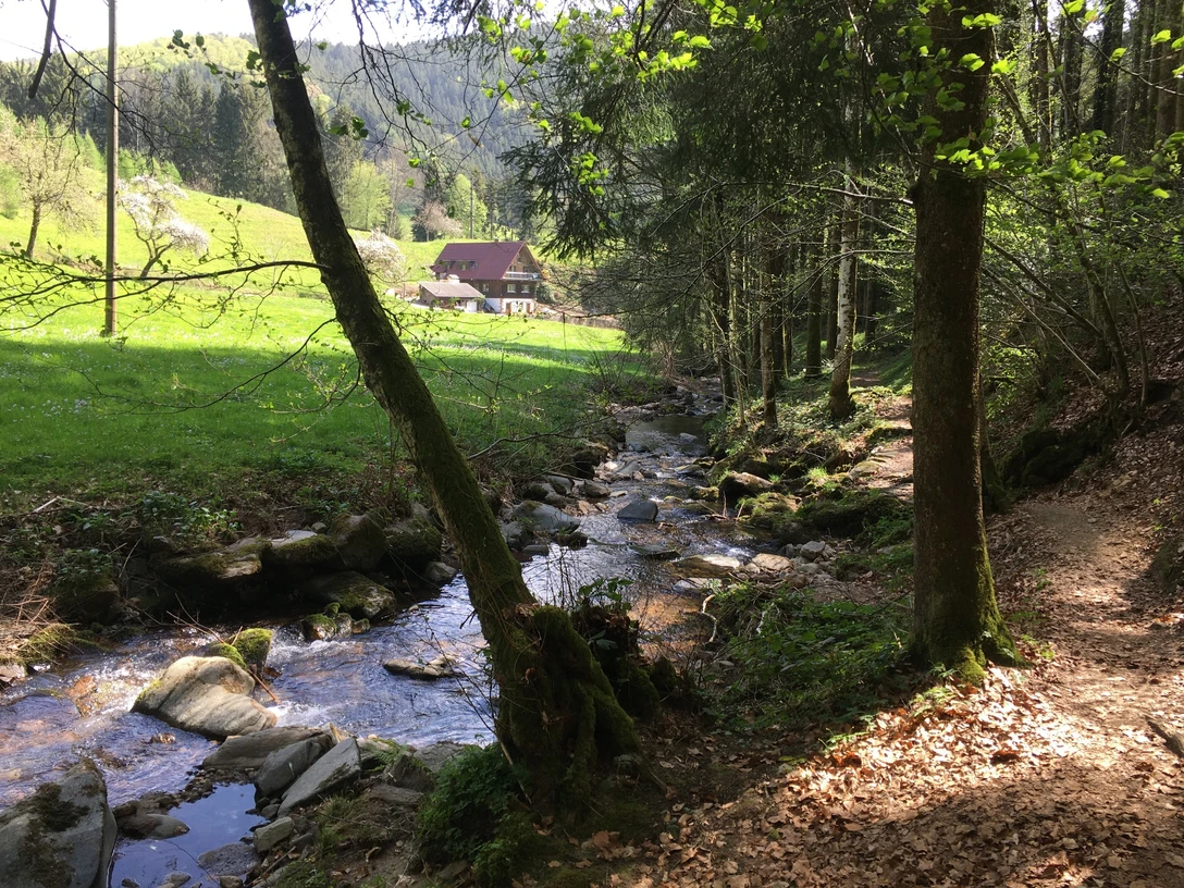 Guck a mol Wegle in Oberwolfach