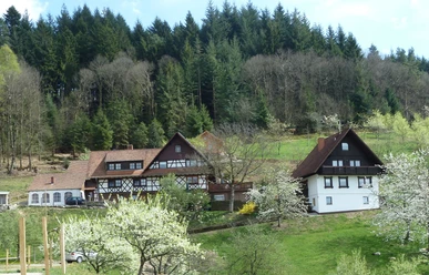 Der Ferienhof Fischer am Waldrand gelegen im Frühling mit blühenden Obstbäumen