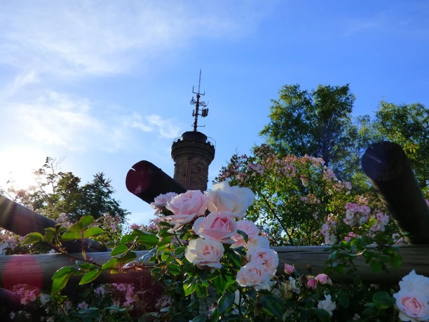 Pergola am Rosenweg mit Friedrichsturm